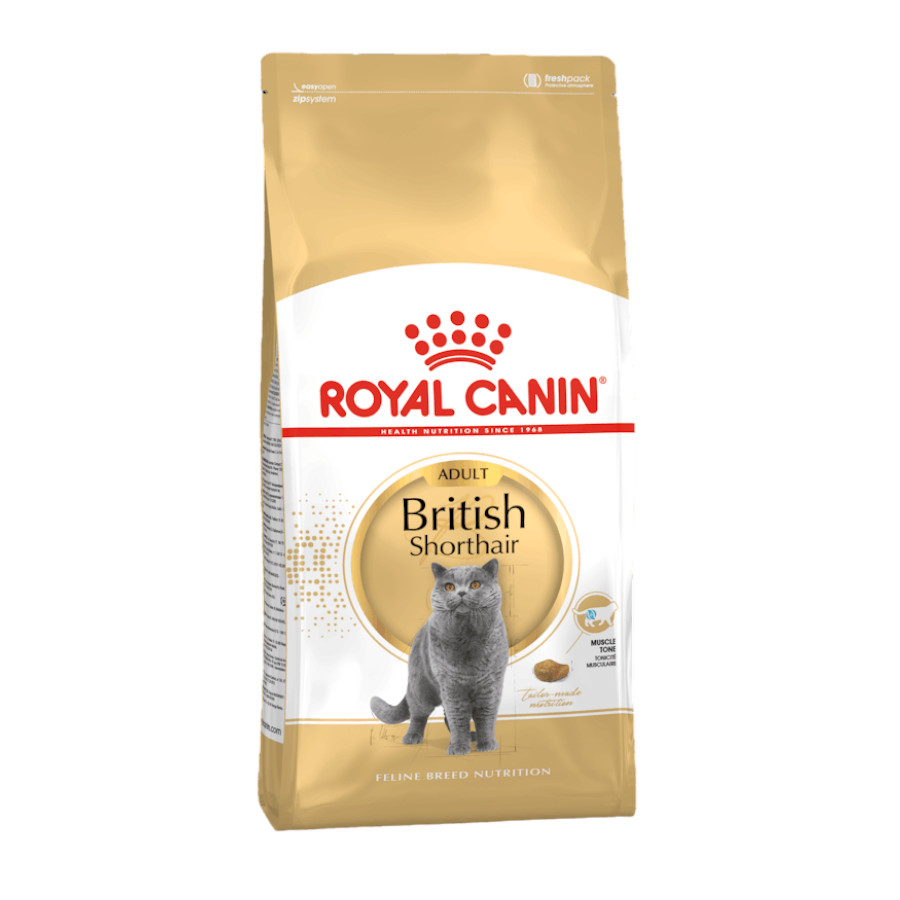 Ração Royal Canin Adult British Shorthair para gatos
