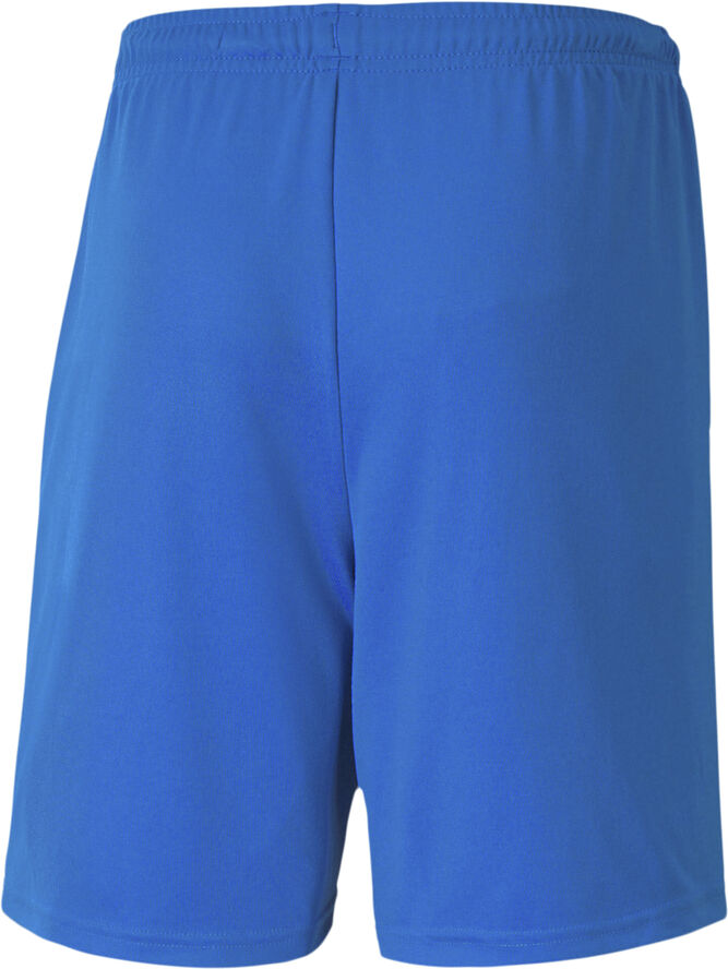 Puma Teamgoal 23 Knit shorts Blå