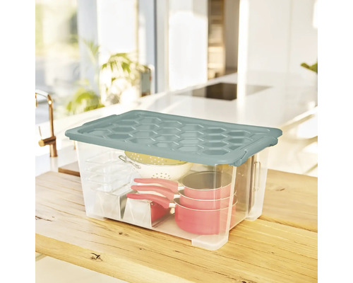 Rotho Box met deksel Evo Safe 44 l transparant 59x28x39,5 cm