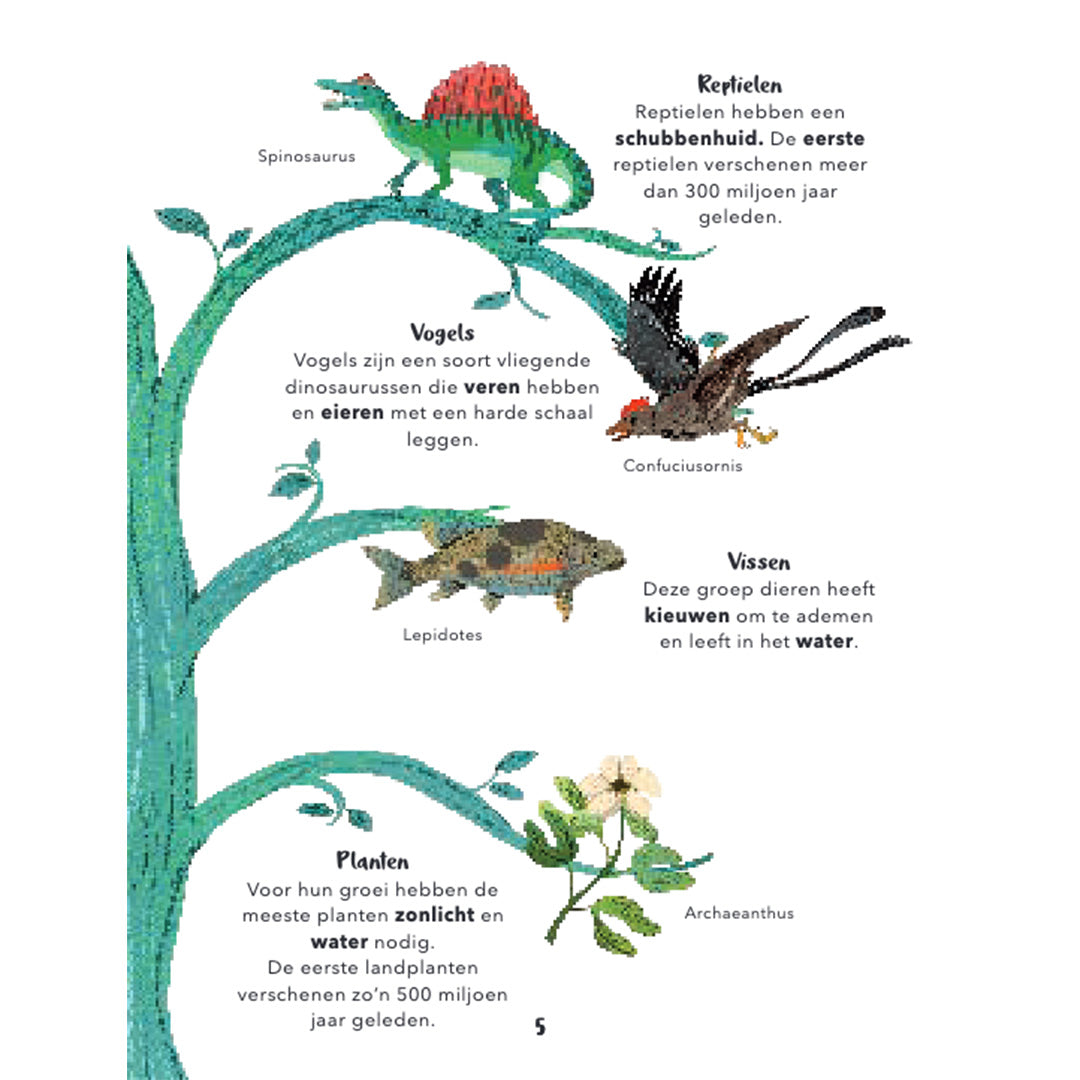 Uitgeverij lannoo mijn eerste bijzondere boek van dinosaurussen