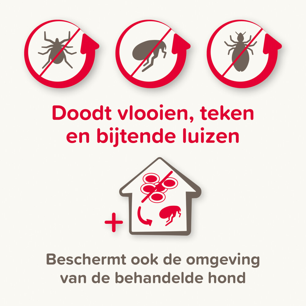 Beaphar Combotec Anti Teken- en Vlooiendruppels Hond 2-10 kg2 pipetten