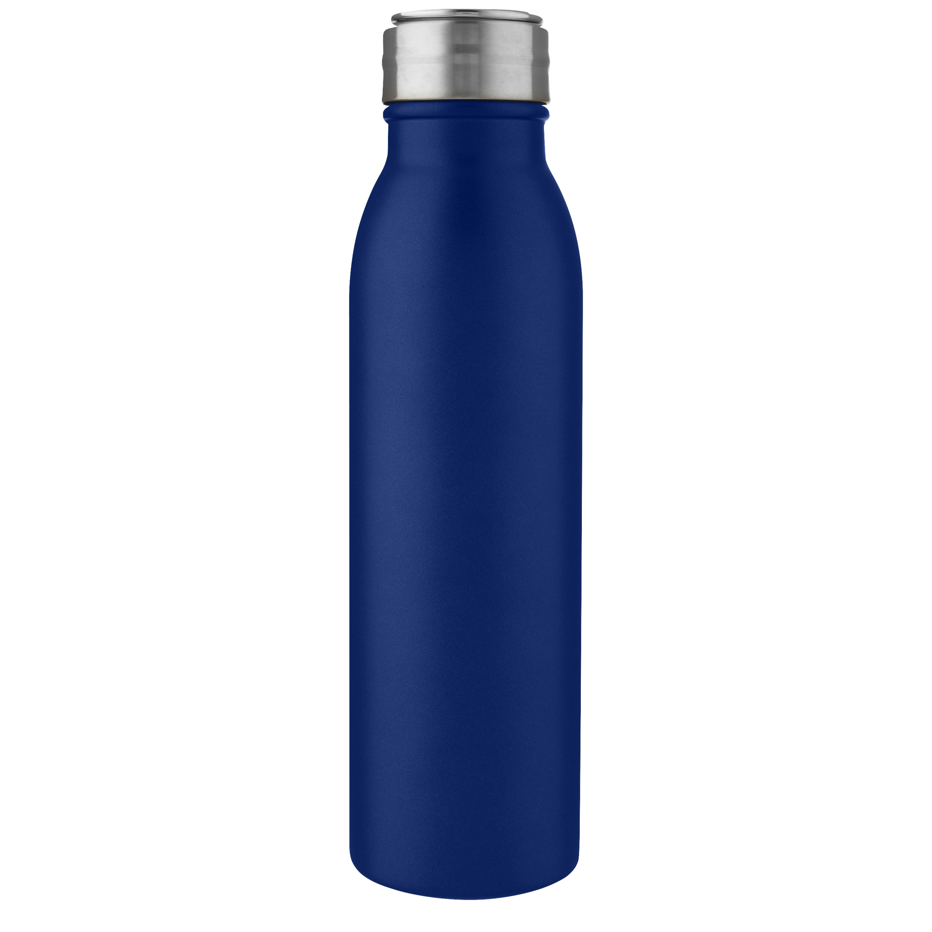 EgotierPro 100678 - Bouteille en Acier Inoxydable Harper 700 ml avec Anse Métallique