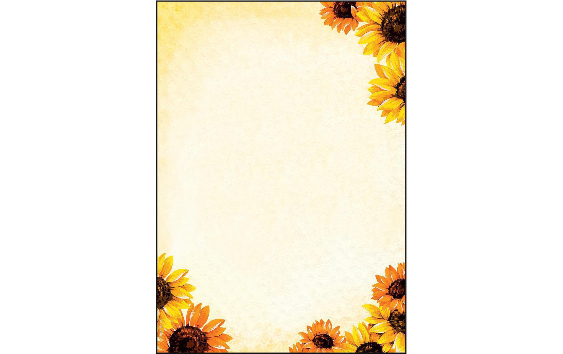 Motivpapier Field of Sun A4, 50 BlattHochwertiges Briefpapier