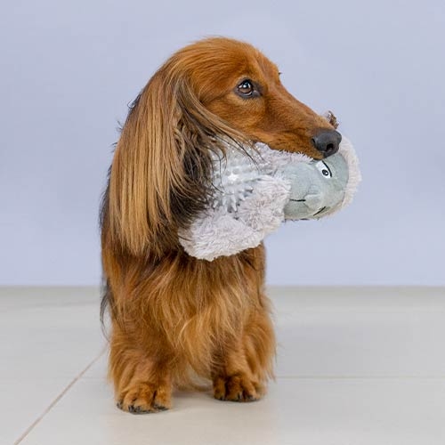 Bola de pelúcia BOLA LOBINHO IBÁÑEZ