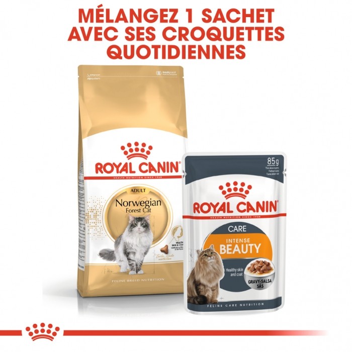 Royal Canin Norvégien Adult