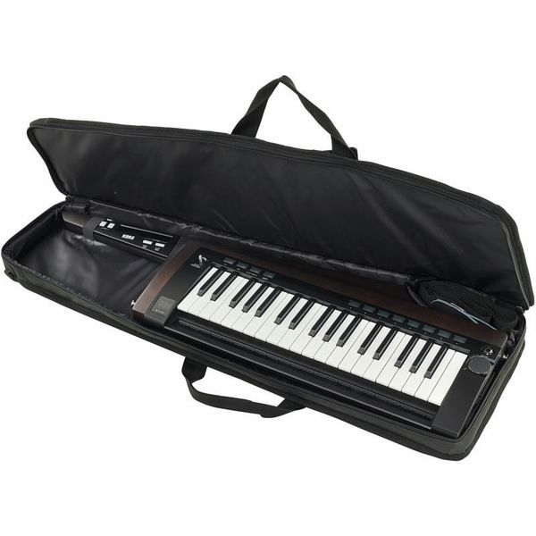 Korg RK-100S 2 Black