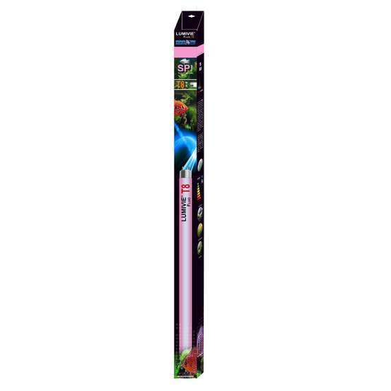 Tube lumivie rose 75 cm