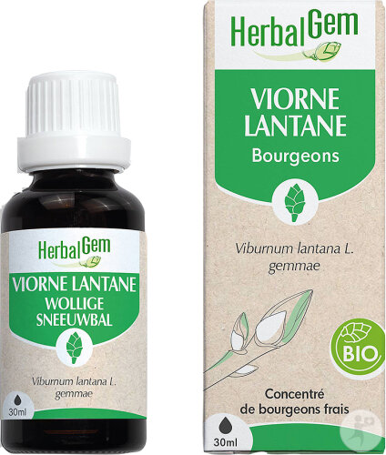 Herbalgem Viorne Macérât-Mère Concentré Bio Flacon 30ml