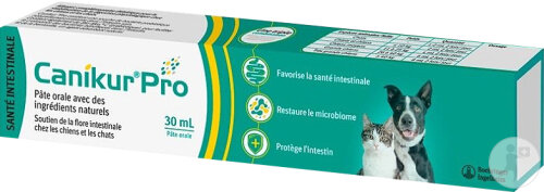Boehring Canikur Pro Pâte Orale Flore Intestinale Chiens Et Chats 30ml