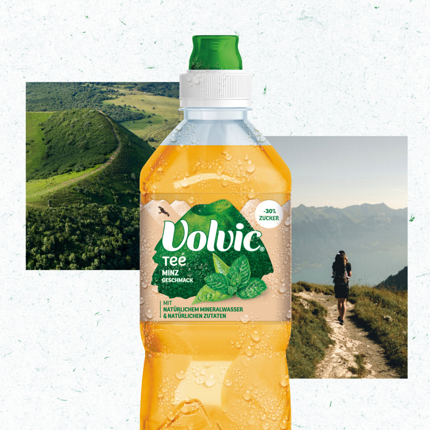 Volvic Grüntee mit Minzgeschmack 6x75cl -450cl