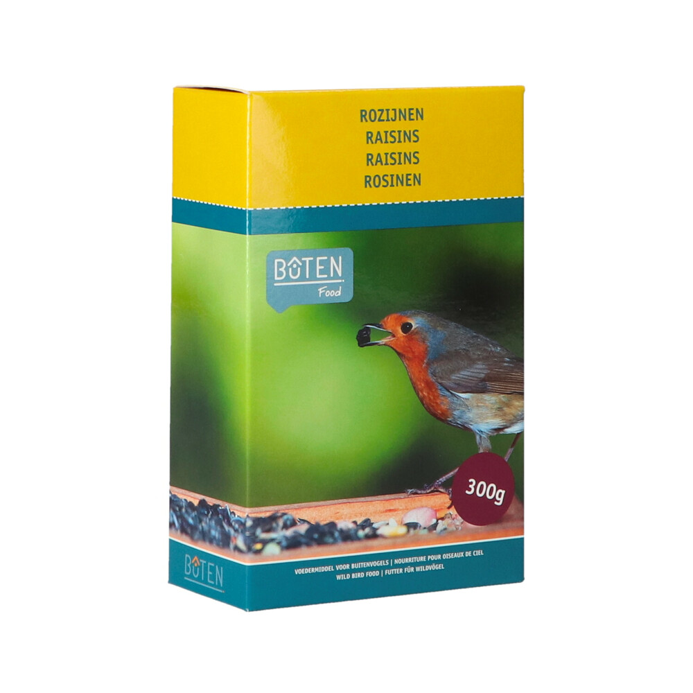 Bûten Food Rozijnen in Doosje 300 gr