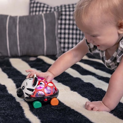 Baby Einstein Oball Lekebil