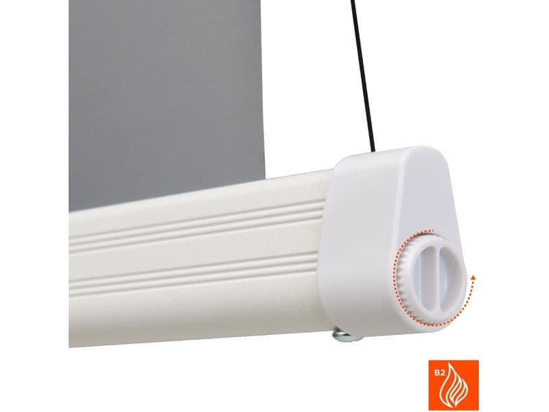 Celexon Tension-Leinwand HomeCinema Dynamic Slate ALR 265x1 HomeCinema Hochkontrastleinwand Tension 265 x 149 cm 120
