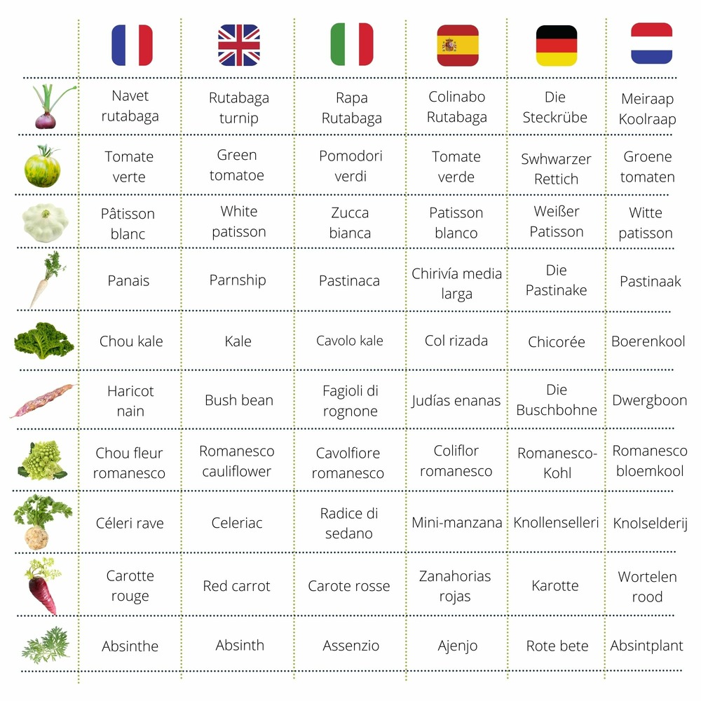 Cultivea le kit prêt à pousser petit potager saveurs anciennes - herbes aromatiques, tomates, chou kale, carotte