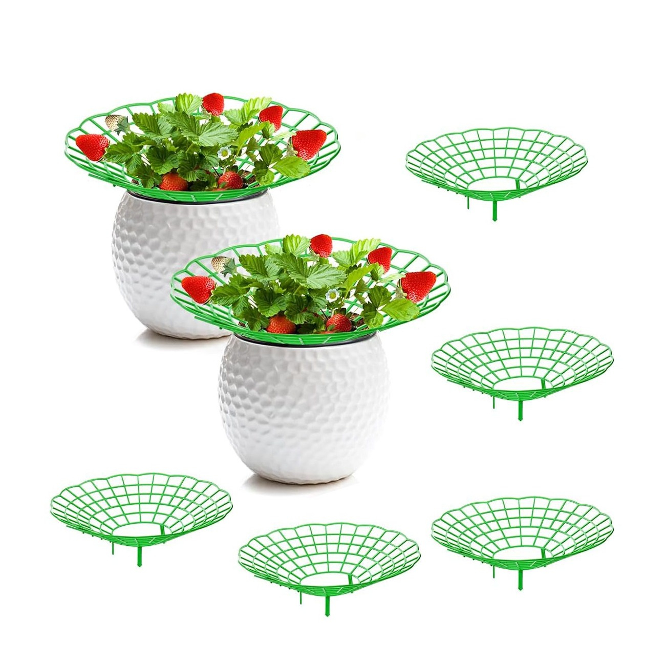 (5er Set) Ø31.5cm Erdbeer Stütze Schneckenkragen Garten Schnecken Barriere Frucht Schutz - Grün