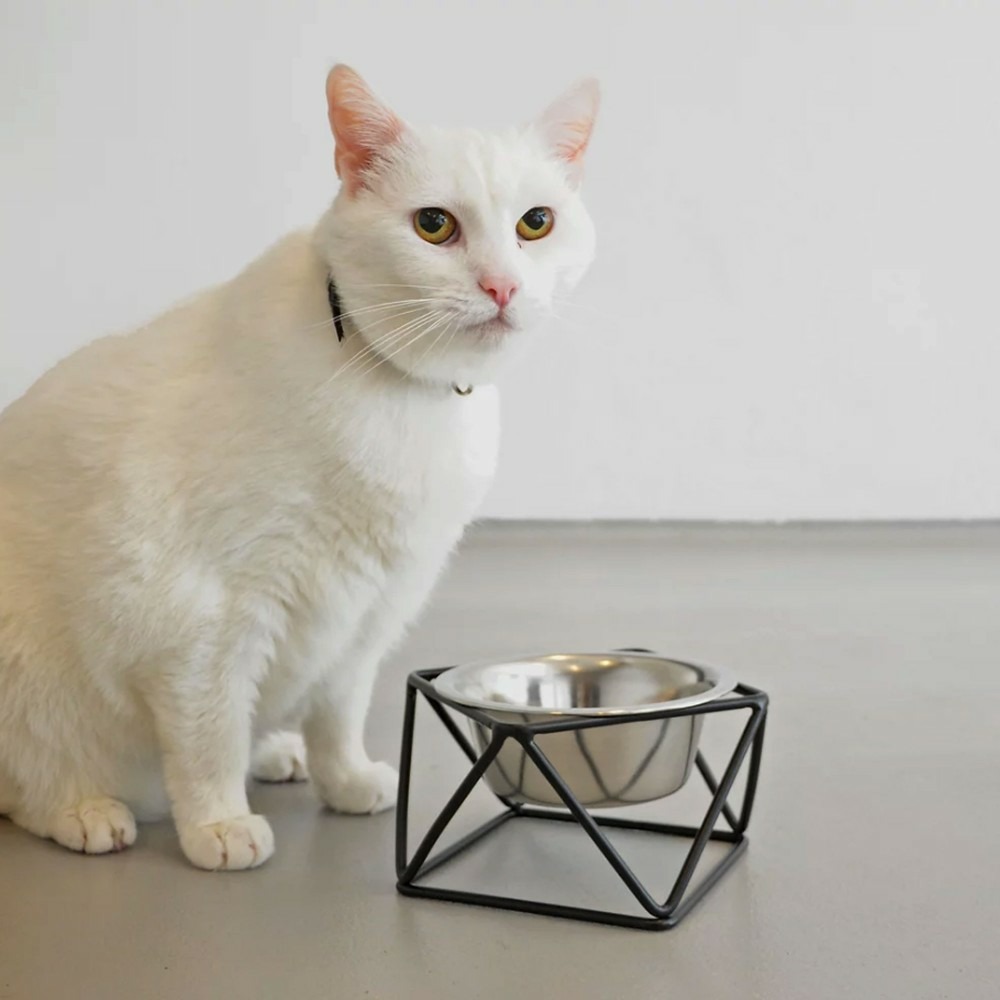 Noise - gamelle surélevée pour chien / chat en acier, socle métal noir
