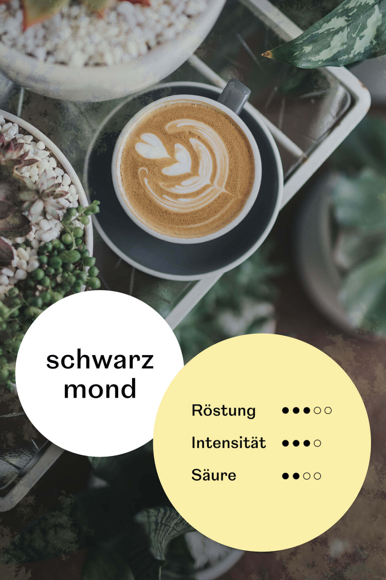 Schwarzmond Merkur Vorteilspaket 2kg