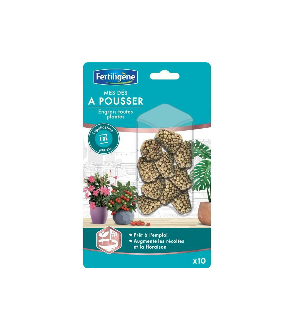 Mes dés a pousser toutes plantes - 10 pieces
