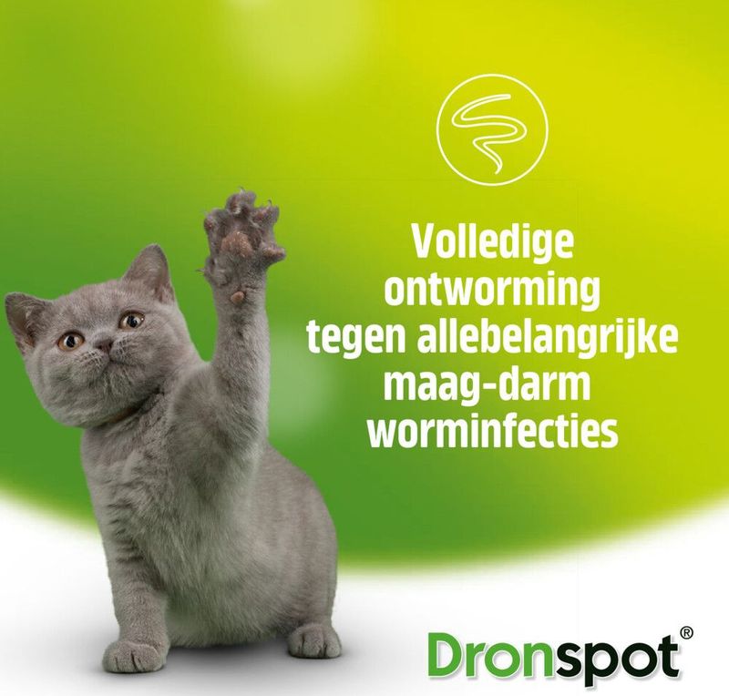 Dronspot Spot On Ontwormingsmiddel voor kleine katten (0,5 - 2,5 kg) 2 pipetten