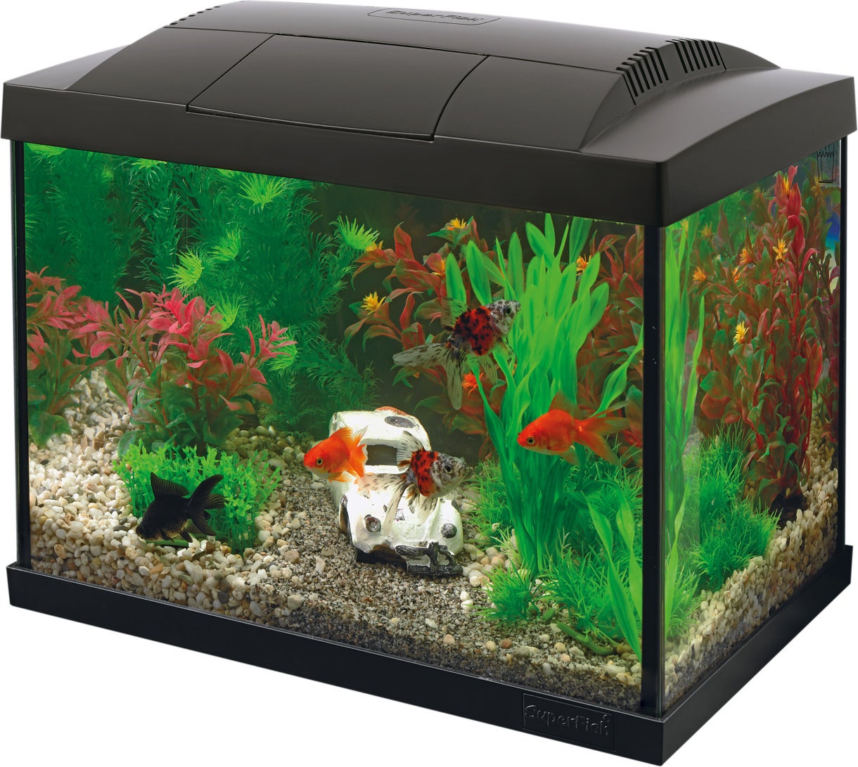 Superfish aquarium Start 20 Goldfish Kit zwart 20 L