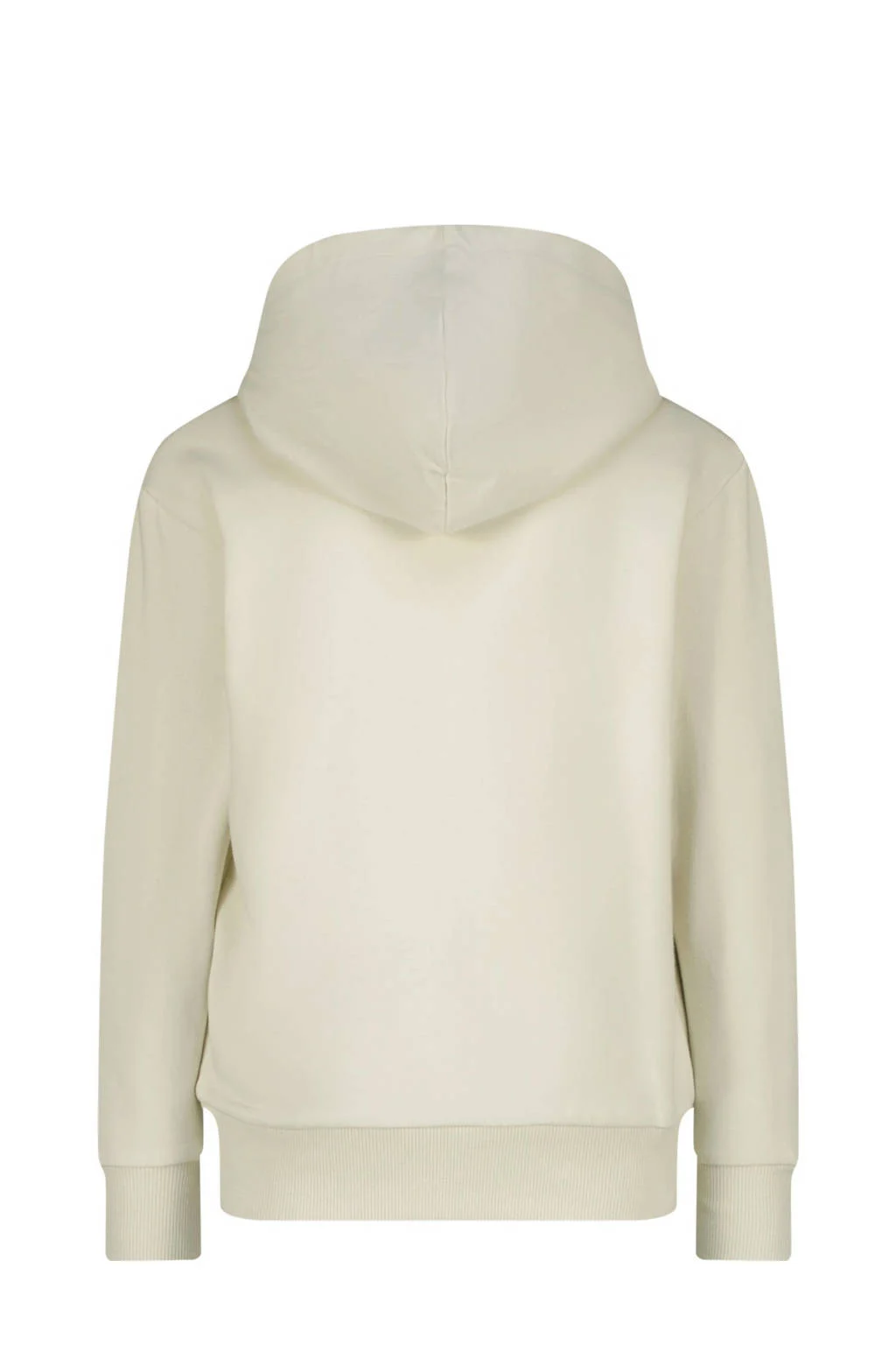Raizzed hoodie Valencia met printopdruk offwhite