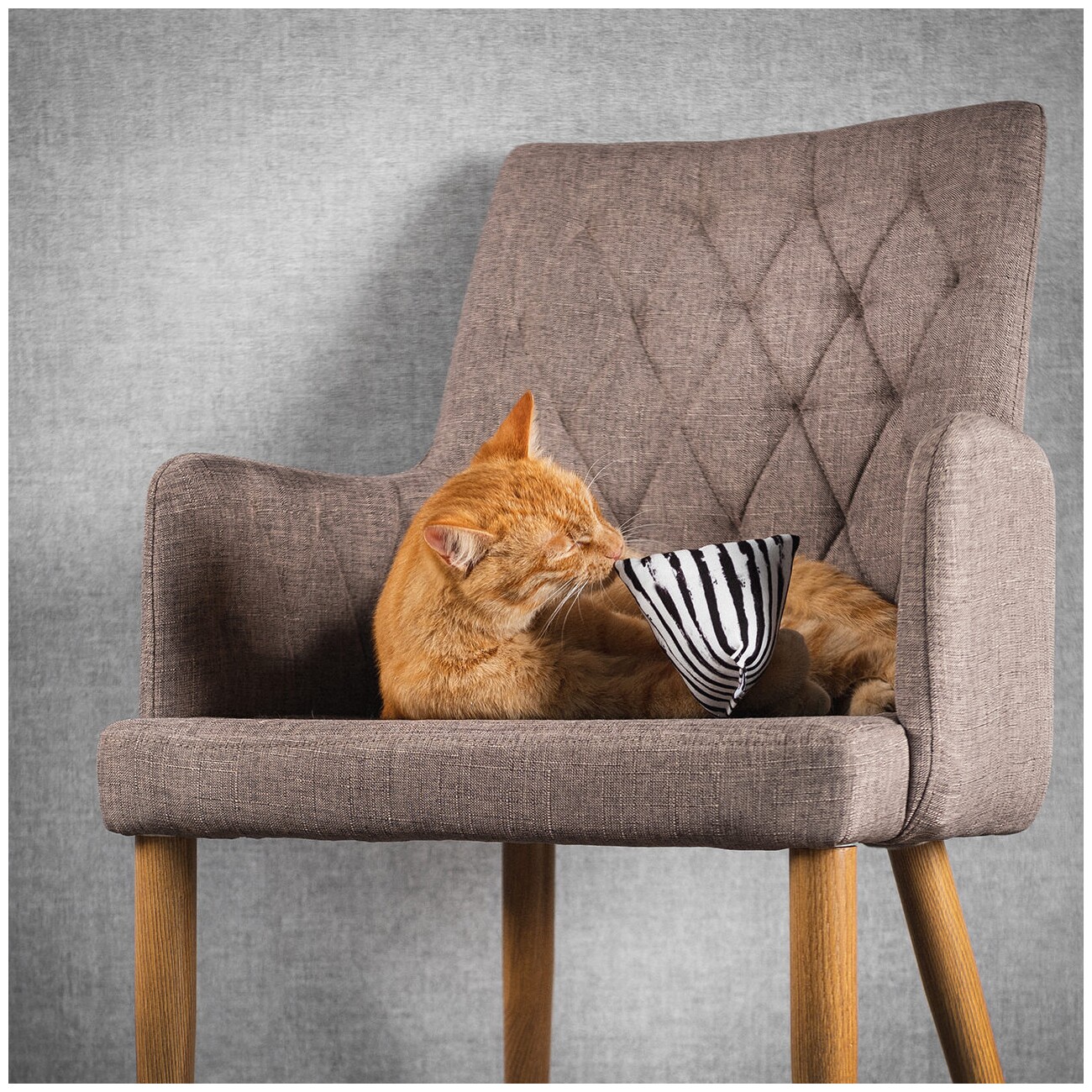 Canadian Cat Company Baldrianspielzeug 6x Schmusepyramide Zebra