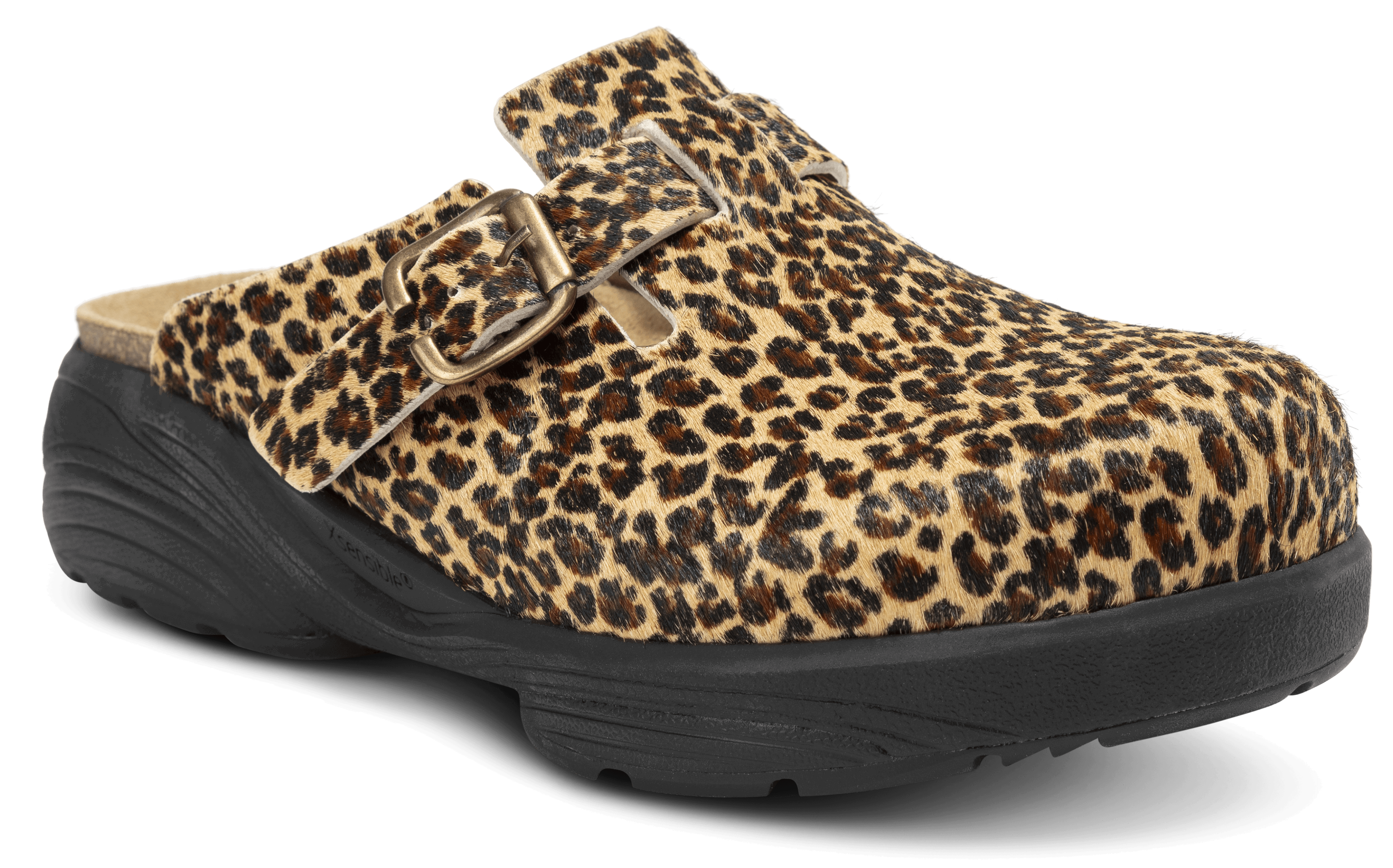 Hibiscus Leopard