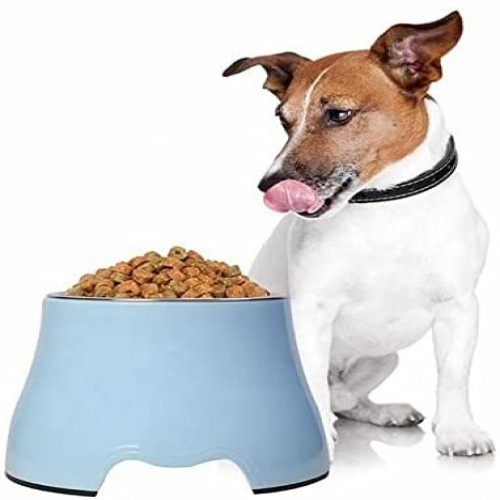 Comedouro e bebedouro elevado Edipets em aço inoxidável para animais de estimação