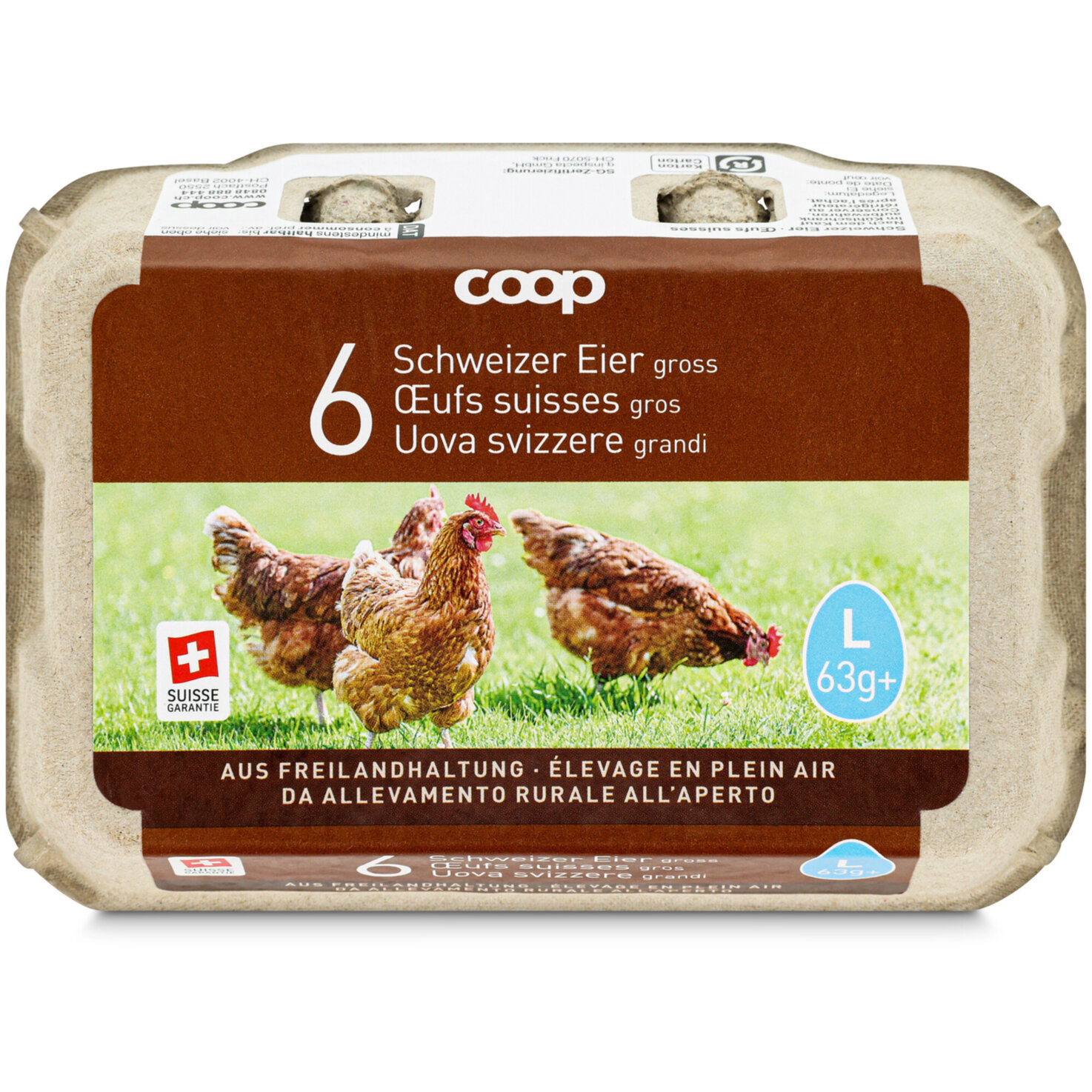 Eier Freiland Gross 63g+ 6 Stück