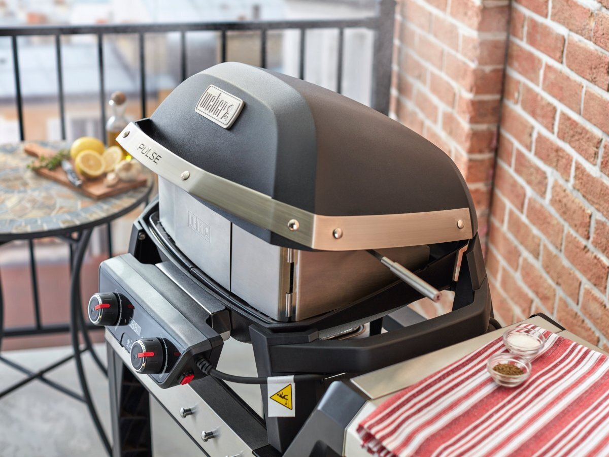 Weber Pulse braadspit