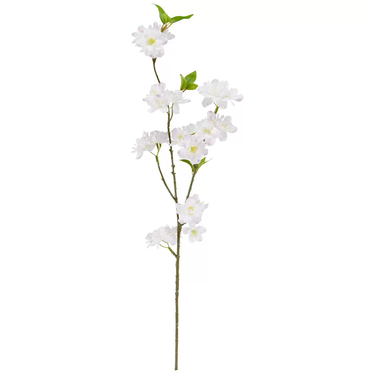 Kirschblütenzweig Ajlin Rosa