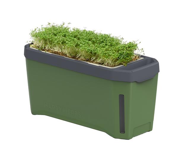 Gusta Garden Kräutertopf Harry Herbs, ca.