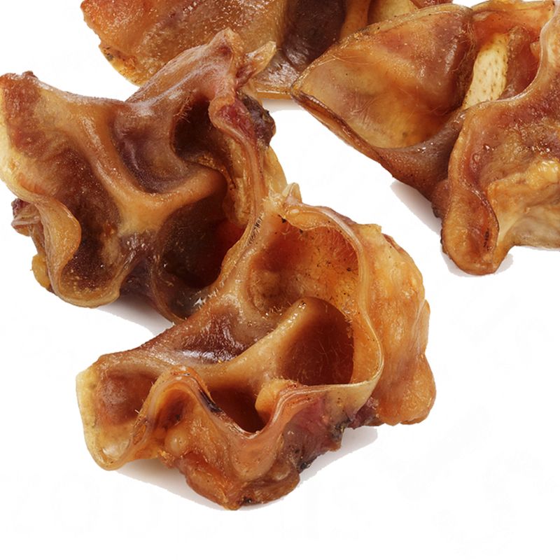 Pavillons d'oreilles de porc à prix discount sur bitiba.fr