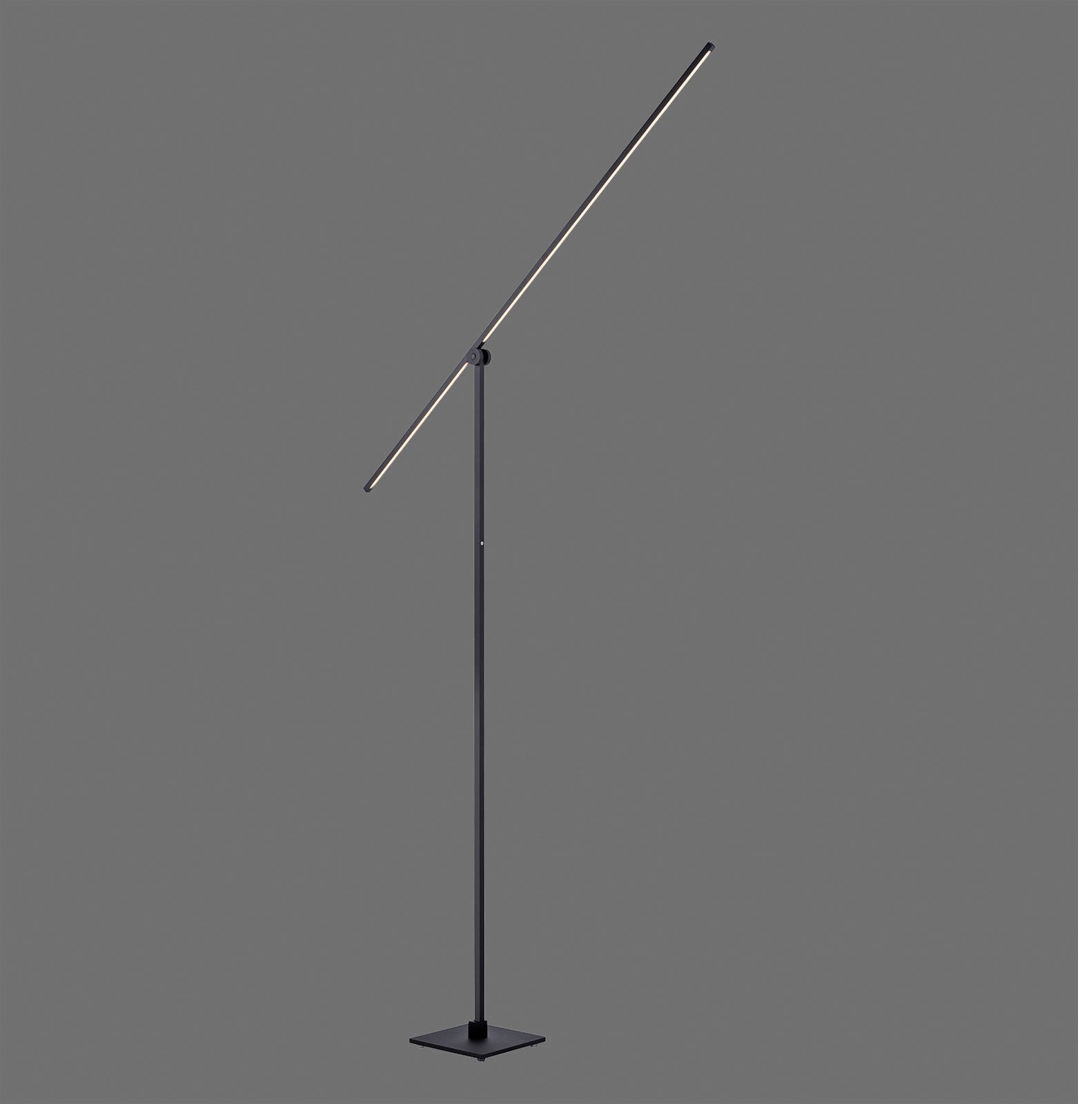 Paul Neuhaus LED Stehlampe PURE-GRAFO schwarz