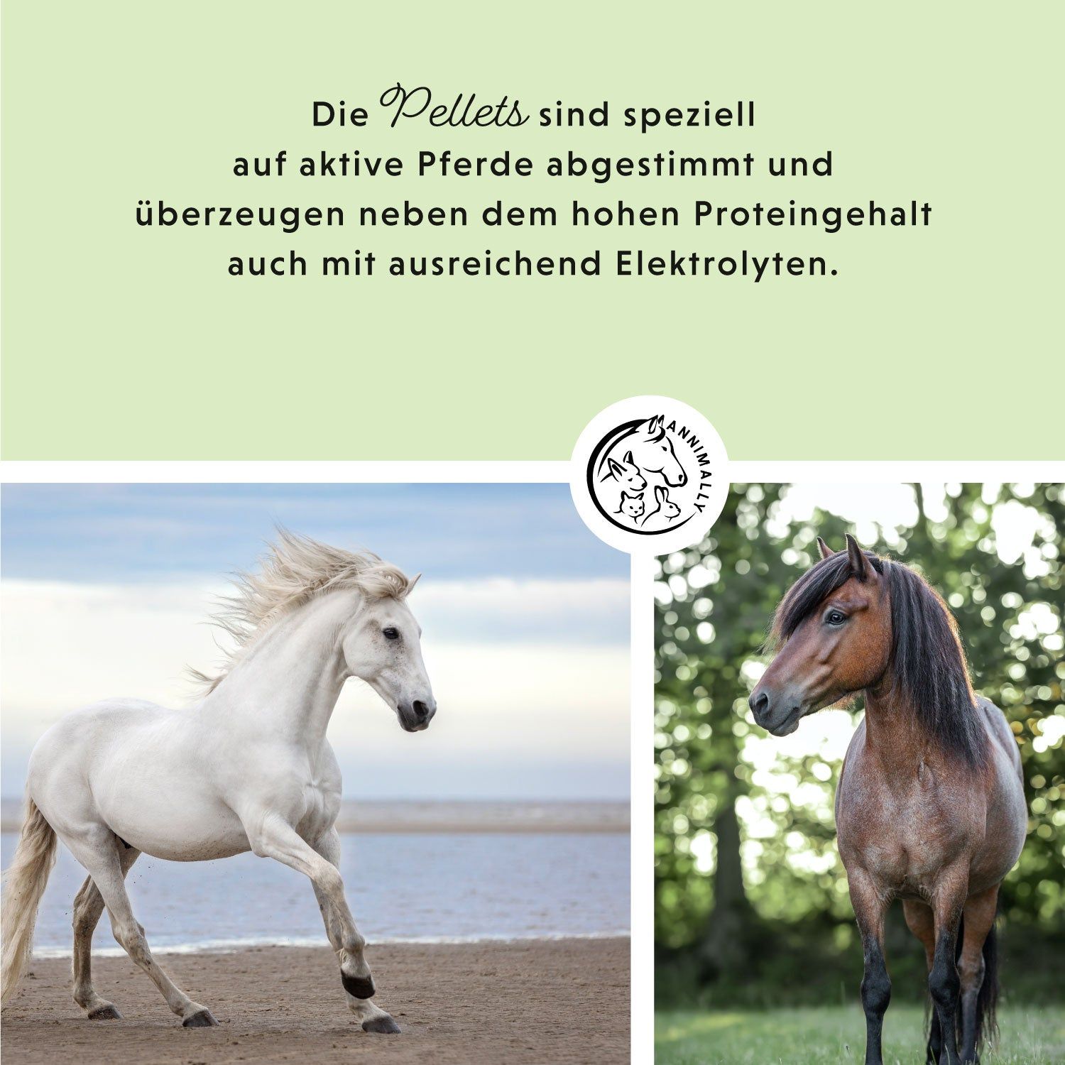 Annimally Mineralfutter Pellets Sport & Leistung