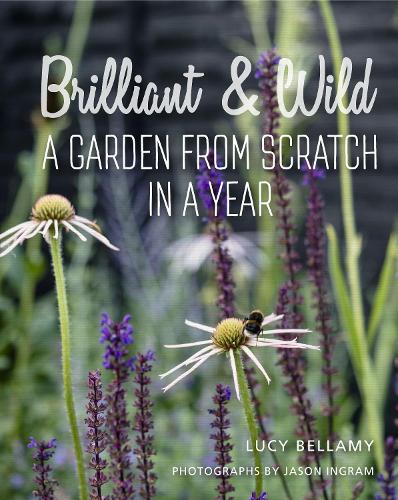 Brilliant and Wild: A Garden from Scratch in a Year (Hardback)