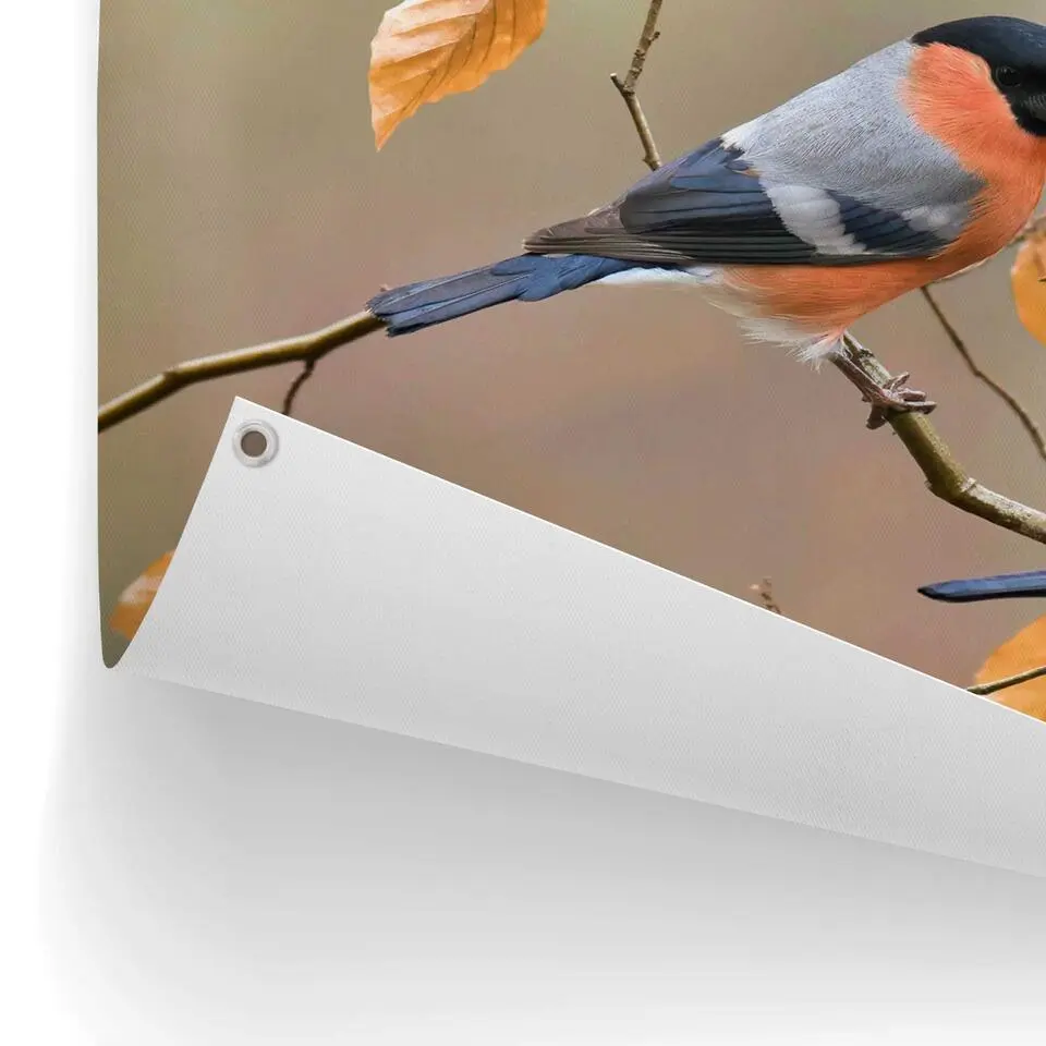 Tuinposter Goudvink - 60x80cm - Oranje