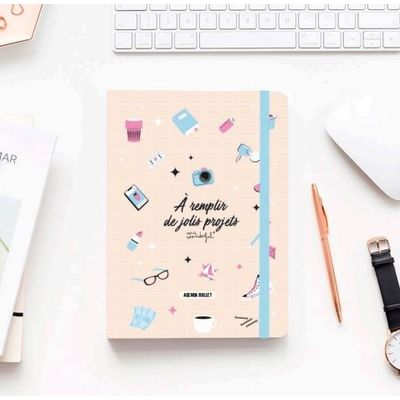 Agenda Mr Wonderful Jolis projets - 1 semaine sur 2 pages - 15 x 22 cm - Viquel