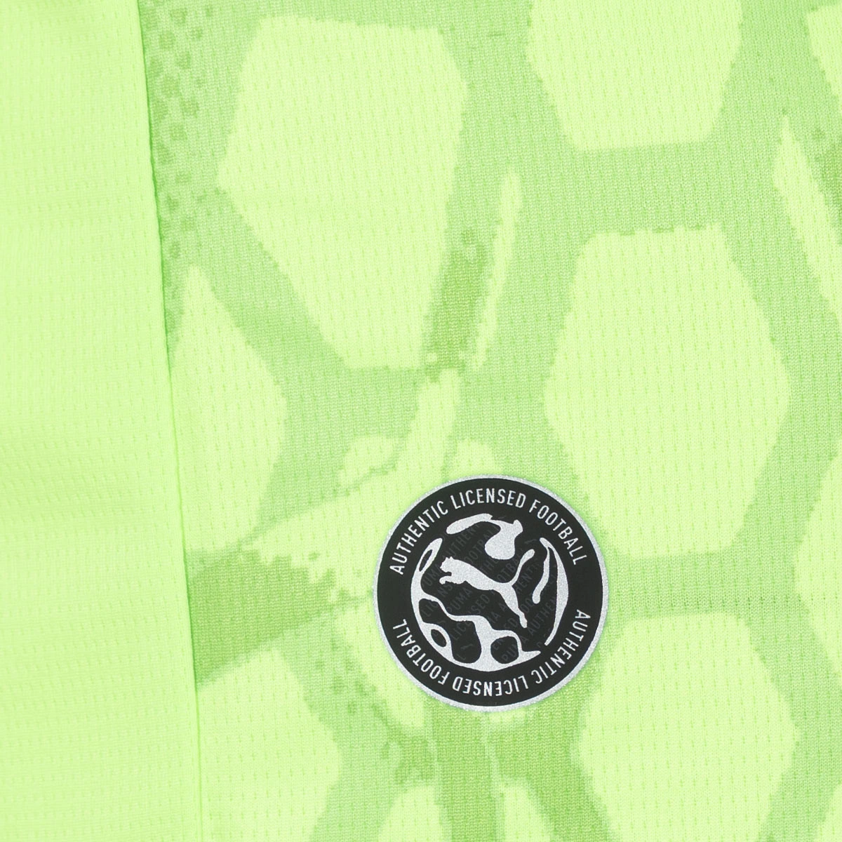 Camisola Puma AC Milan Primeiro equipamento Guarda-redes 2026-2027 Criança