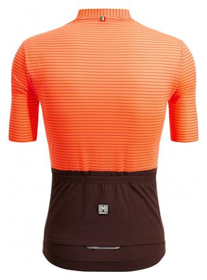 Maillot Manches Courtes Santini Colore Riga Orange/Marron