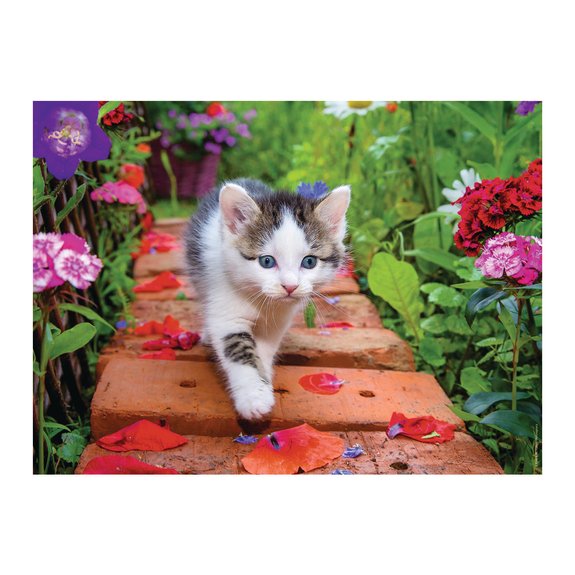 Puzzle 500 pièces - Chaton au jardin