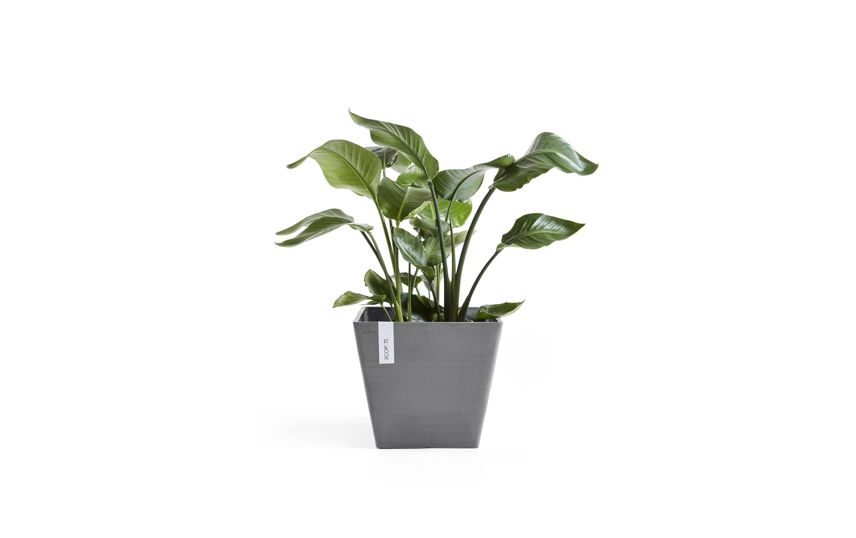 Pflanzentopf Rotterdam 40 DunkelgrauBlumentopf