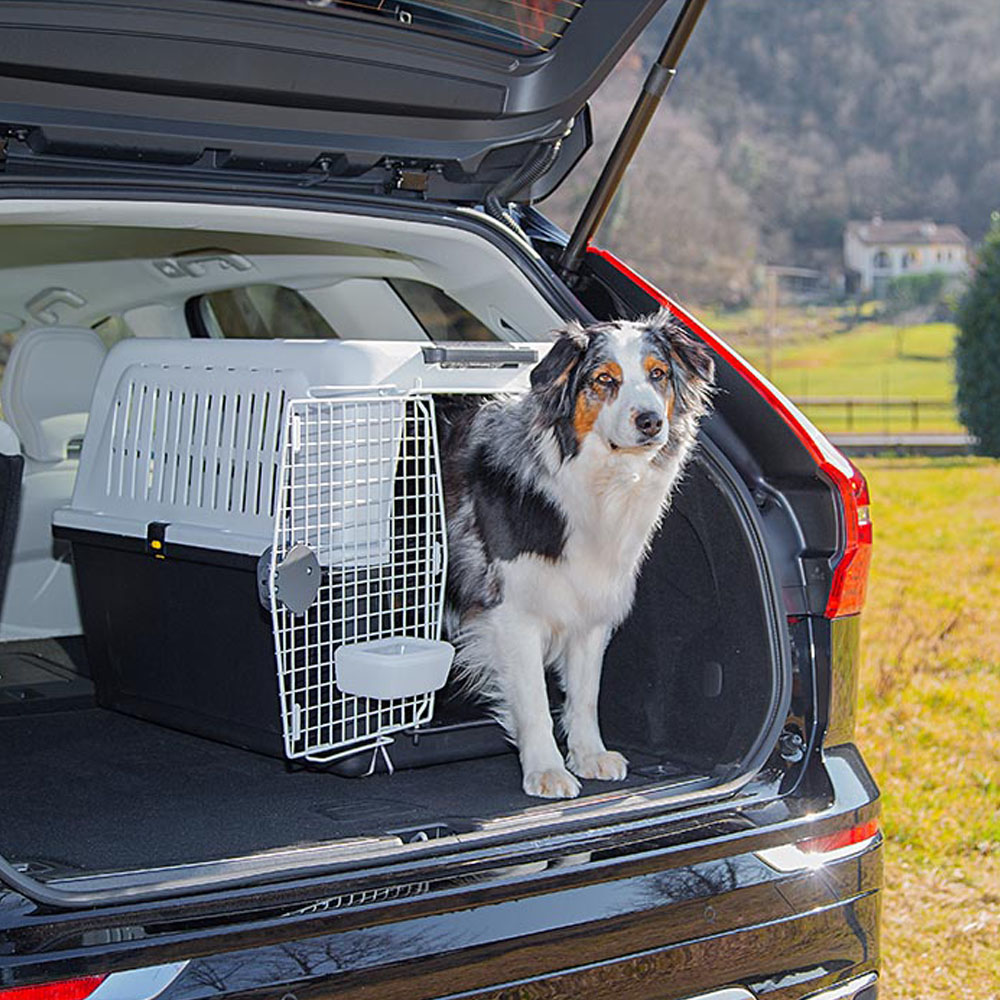 Panier de transport pour chiens de taille moyenne à grande atlas 50, avec écuelle et accessoires inclus, verrouillage de sécurité,