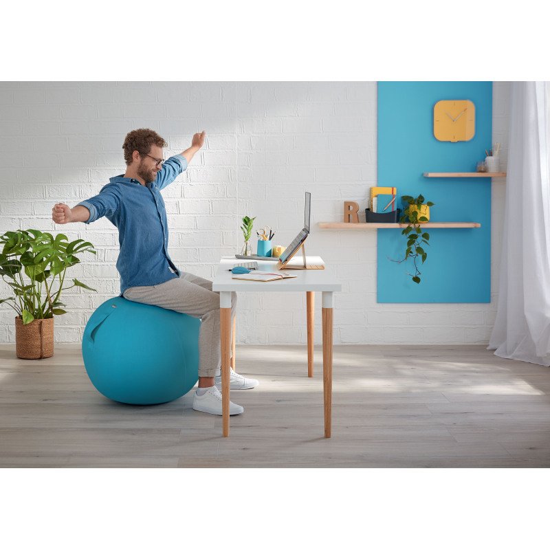 Ballon ergonomique Leitz Ergo Cosy