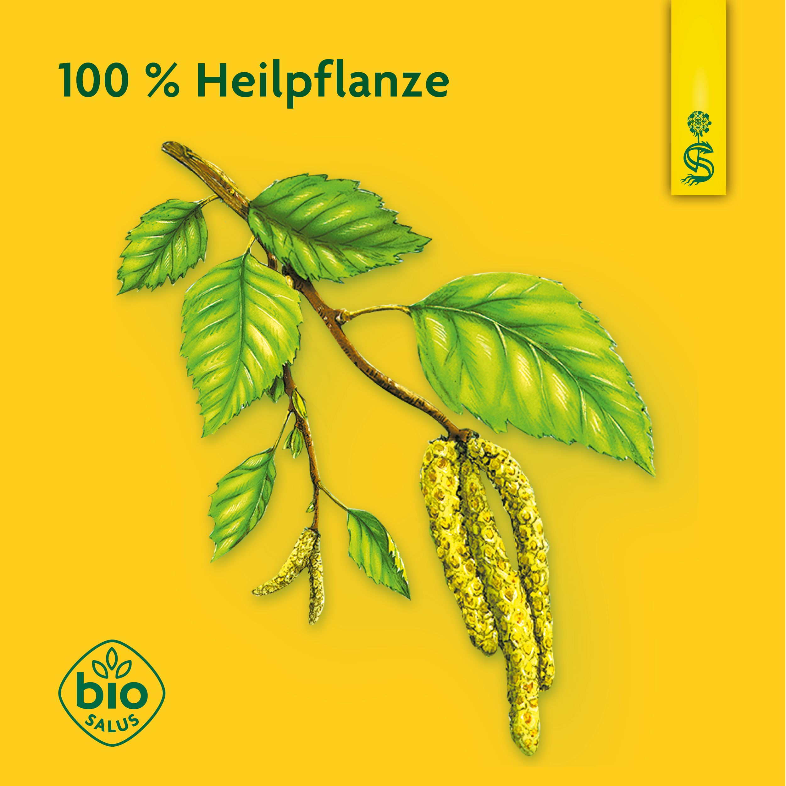 Schoenenberger® naturreiner Heilpflanzensaft Birke