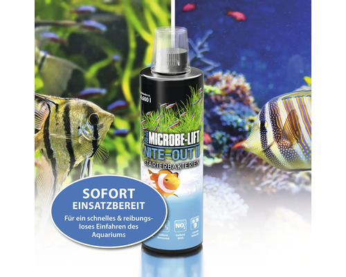 Starterbacteriën ARKA Microbe-Lift Nite-Out II 473 ml