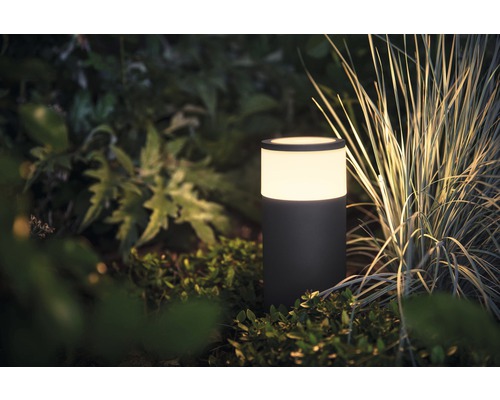 Philips Hue LED Sokkellamp Uitbreiding Calla White & Color Ambiance H 25,2 cm Zwart - Compatibel met SMART HOME van Hornbach