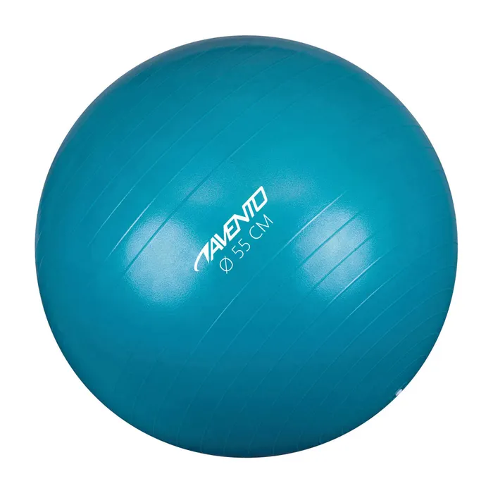 Avento Fitness Ball Ø 55