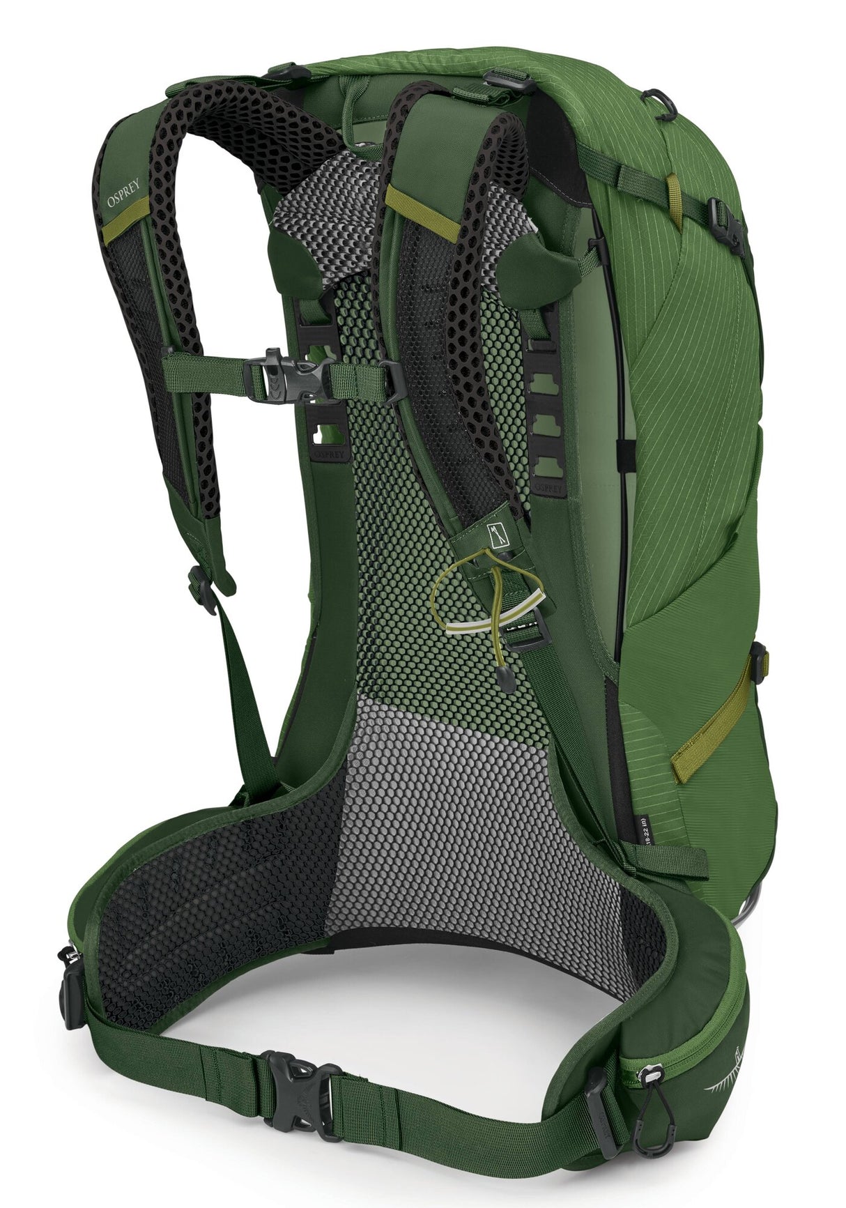 Osprey<br>Stratos 24