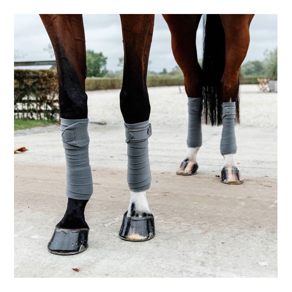 Kentucky PEARLS - Bandes de polo x4 grey